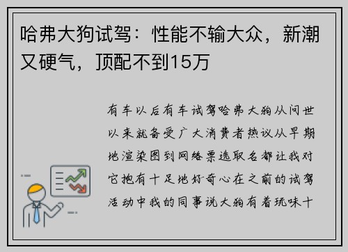 哈弗大狗试驾：性能不输大众，新潮又硬气，顶配不到15万