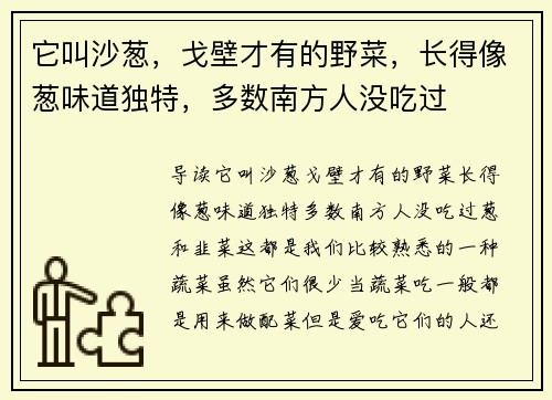 它叫沙葱，戈壁才有的野菜，长得像葱味道独特，多数南方人没吃过
