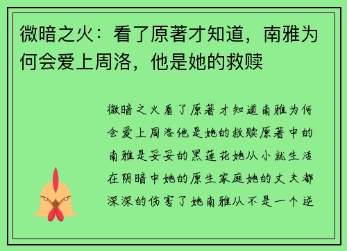 微暗之火：看了原著才知道，南雅为何会爱上周洛，他是她的救赎