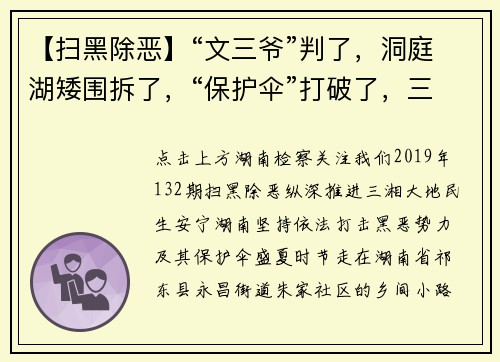 【扫黑除恶】“文三爷”判了，洞庭湖矮围拆了，“保护伞”打破了，三湘安宁了